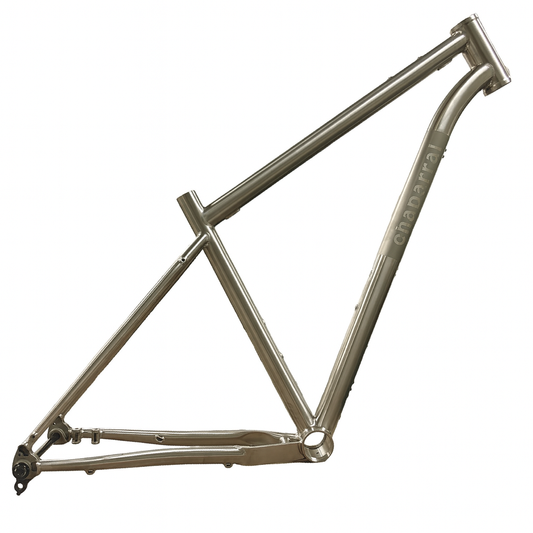 Titanium Angeles Frame